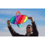 Flip Kite
