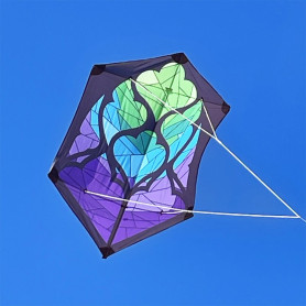 Cerf-volant Rokkaku Brasington - Spiderkites