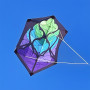 Rokkaku Brasington kite - Spiderkites