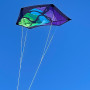 Cerf-volant Rokkaku Brasington - Spiderkites