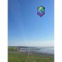 Cerf-volant Rokkaku Brasington - Spiderkites