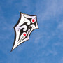 Sky Shield by Carsten Domann – Spiderkites