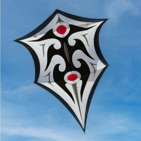 Cerf-volant Sky Shield de Carsten Domann – Spiderkites