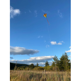 Vertex - Infrared - Full Single Line Kite