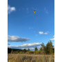 Vertex - Infrared - Full Single Line Kite