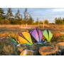 Vertex - Infrared - Full Single Line Kite