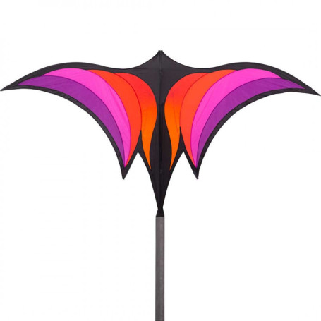 HQ Brasington Ravenswing Kite – Artistic Single Line 178cm