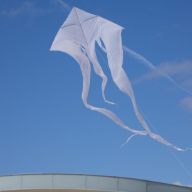 Cerf-volant monofil F-Tail XXL Pyro blanc