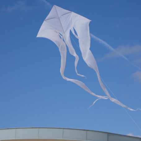 F-Tail XXL Pyro White Single-line Kite
