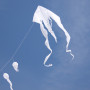 F-Tail XXL Pyro White Single-line Kite