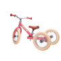 Draisienne Évolutive 2-en-1 Trybike Tricycle Enfant 1-6 ans