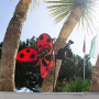 Magic Ladybird Spinner