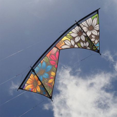 Cerf-volant 4 lignes Shiva Core Spiderkites