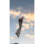 Cerf-volant 4 lignes Shiva Core Spiderkites Nightfall