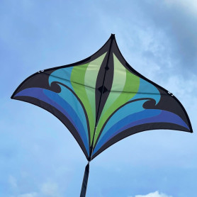 Cerf-volant Brasington Swift Delta Spiderkites bleu vert