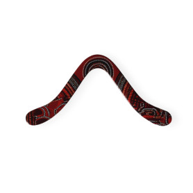 Boomerang carbone LMI Fox Technic Collector 2025 | Bipale solide