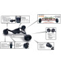 Black Zebra Buggy -  midi wheel and Midi fork