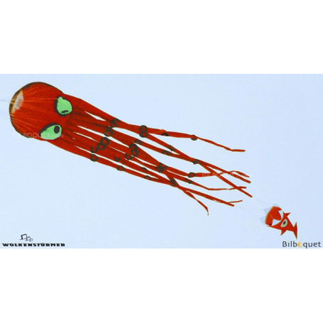 Cerf-volant monofil Pieuvre 250cm