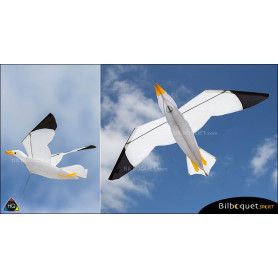 Cerf-volant monofil Mouette 3D - Joel Scholz