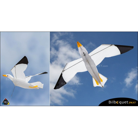 Cerf-volant monofil Mouette 3D - Joel Scholz