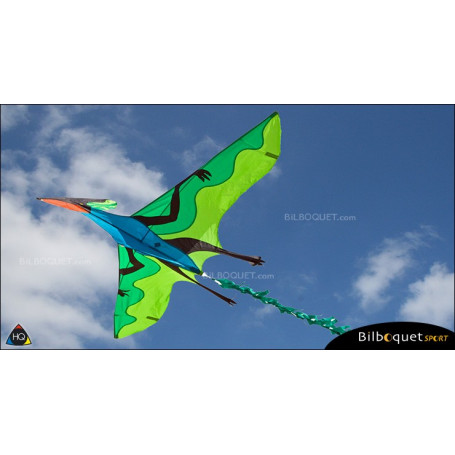 Cerf-volant monofil Dinosaure 3D - Joel Scholz
