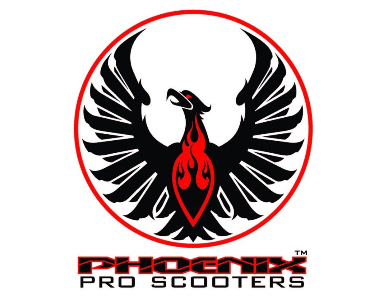 phoenix pro scooters
